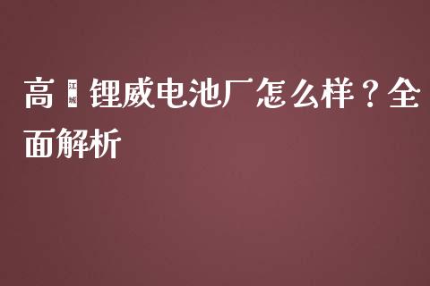 高埗锂威电池厂怎么样？全面解析_https://wap.sdxiaoxijinshu.com_理财_第1张