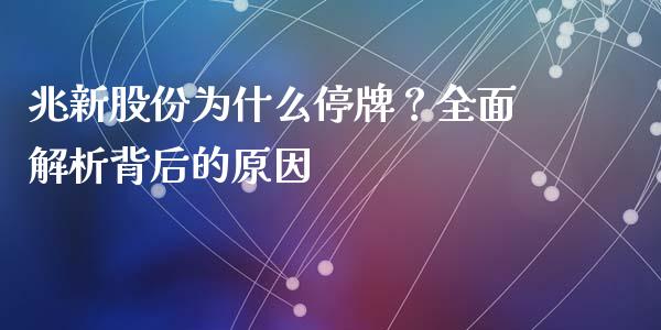 兆新股份为什么停牌？全面解析背后的原因_https://wap.sdxiaoxijinshu.com_期货_第1张