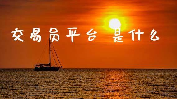 交易员平台 是什么_https://wap.sdxiaoxijinshu.com_财经_第1张