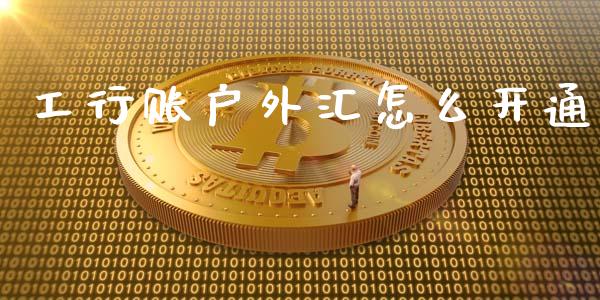 工行账户外汇怎么开通_https://wap.sdxiaoxijinshu.com_财经_第1张