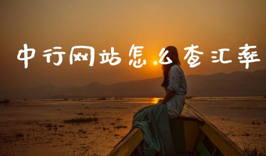 中行网站怎么查汇率_https://wap.sdxiaoxijinshu.com_财经_第1张