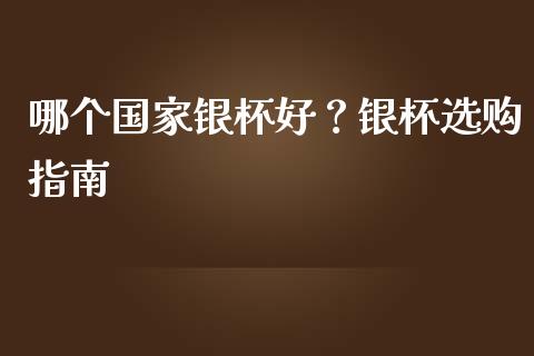 哪个国家银杯好？银杯选购指南_https://wap.sdxiaoxijinshu.com_期货_第1张