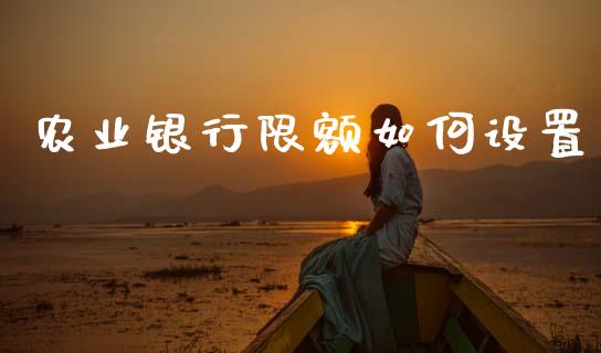 农业银行限额如何设置_https://wap.sdxiaoxijinshu.com_理财_第1张