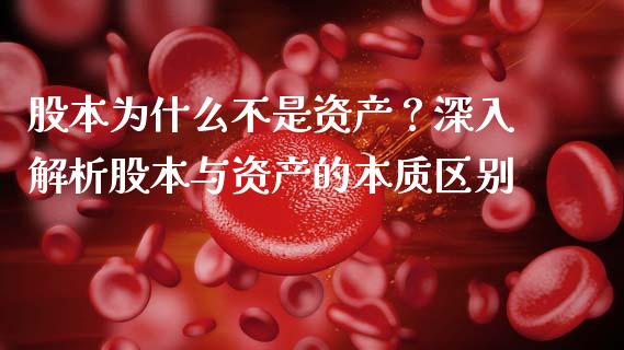股本为什么不是资产？深入解析股本与资产的本质区别_https://wap.sdxiaoxijinshu.com_财经_第1张