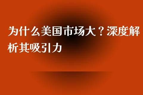 为什么美国市场大？深度解析其吸引力_https://wap.sdxiaoxijinshu.com_财经_第1张