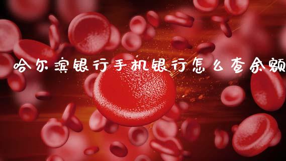 哈尔滨银行手机银行怎么查余额_https://wap.sdxiaoxijinshu.com_金融_第1张