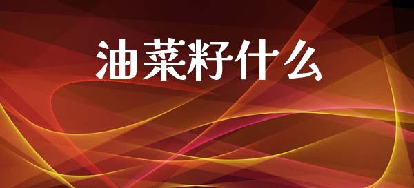 油菜籽什么_https://wap.sdxiaoxijinshu.com_期货_第1张