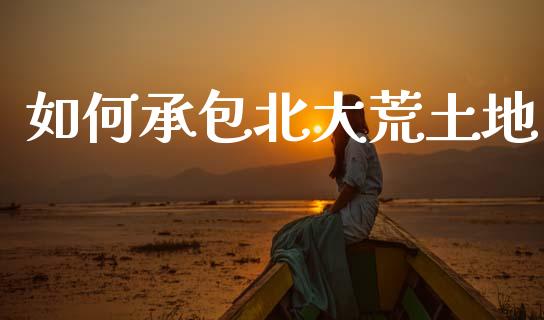 如何承包北大荒土地_https://wap.sdxiaoxijinshu.com_财经_第1张