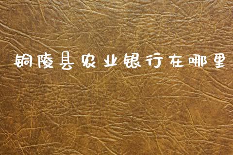铜陵县农业银行在哪里_https://wap.sdxiaoxijinshu.com_理财_第1张