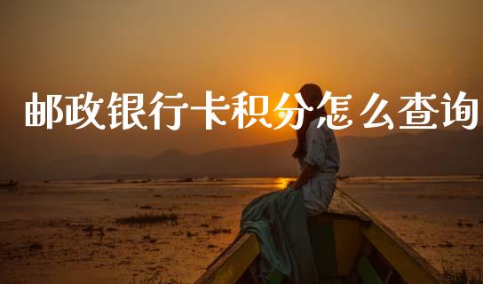 邮政银行卡积分怎么查询_https://wap.sdxiaoxijinshu.com_理财_第1张