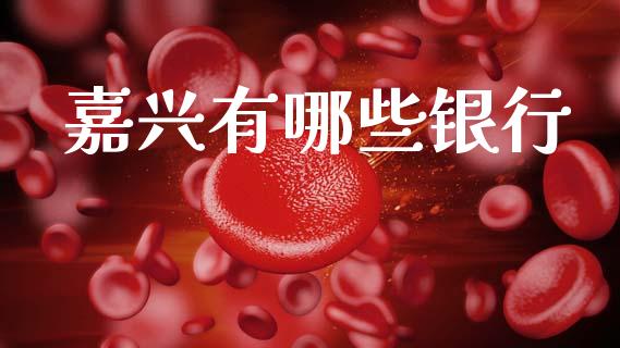 嘉兴有哪些银行_https://wap.sdxiaoxijinshu.com_理财_第1张
