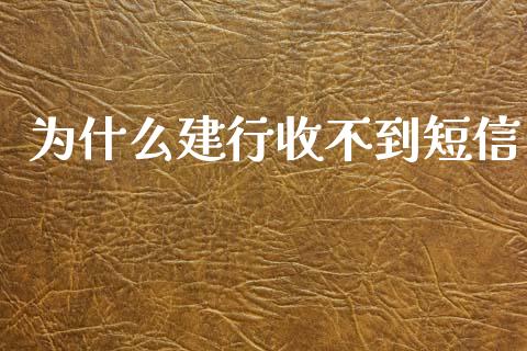 为什么建行收不到短信_https://wap.sdxiaoxijinshu.com_理财_第1张