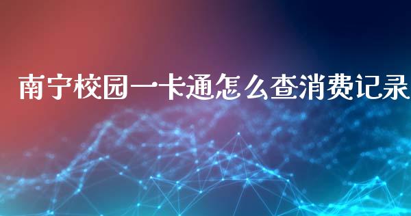 南宁校园一卡通怎么查消费记录_https://wap.sdxiaoxijinshu.com_金融_第1张