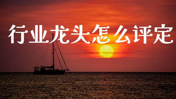 行业龙头怎么评定_https://wap.sdxiaoxijinshu.com_财经_第1张