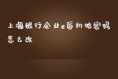 上海银行企业e盾初始密码怎么改_https://wap.sdxiaoxijinshu.com_金融_第1张
