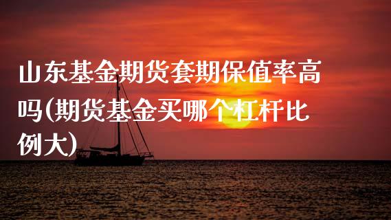 山东基金期货套期保值率高吗(期货基金买哪个杠杆比例大)_https://wap.sdxiaoxijinshu.com_金融_第1张