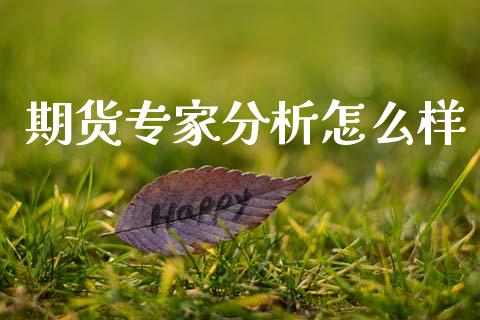 期货专家分析怎么样_https://wap.sdxiaoxijinshu.com_期货_第1张