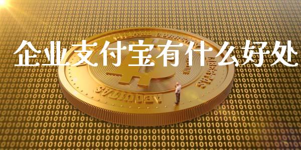 企业支付宝有什么好处_https://wap.sdxiaoxijinshu.com_理财_第1张