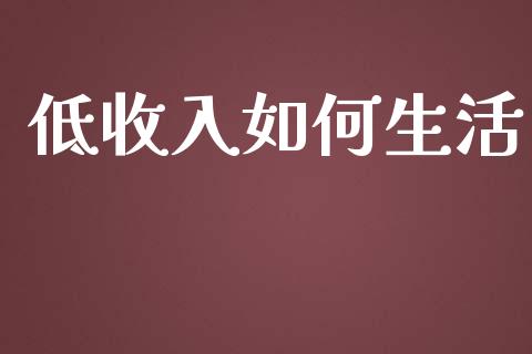 低收入如何生活_https://wap.sdxiaoxijinshu.com_金融_第1张