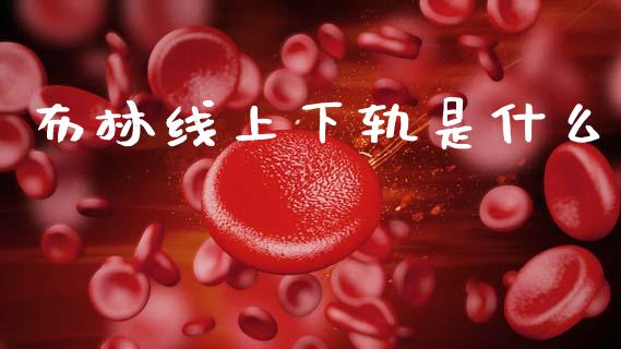 布林线上下轨是什么_https://wap.sdxiaoxijinshu.com_财经_第1张