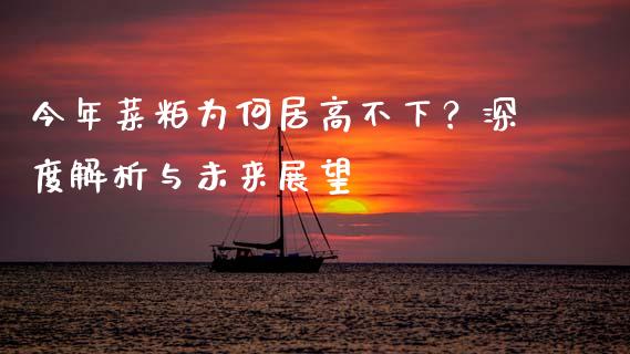 今年菜粕为何居高不下？深度解析与未来展望_https://wap.sdxiaoxijinshu.com_财经_第1张