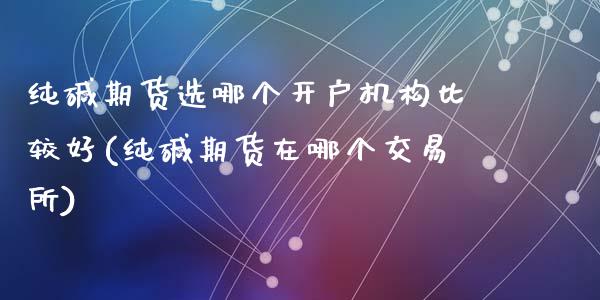 纯碱期货选哪个开户机构比较好(纯碱期货在哪个交易所)_https://wap.sdxiaoxijinshu.com_期货_第1张