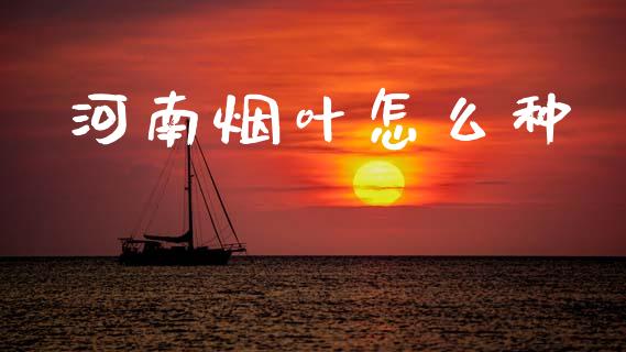 河南烟叶怎么种_https://wap.sdxiaoxijinshu.com_期货_第1张