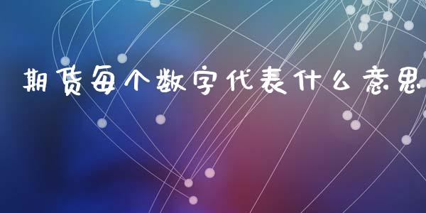 期货每个数字代表什么意思_https://wap.sdxiaoxijinshu.com_期货_第1张
