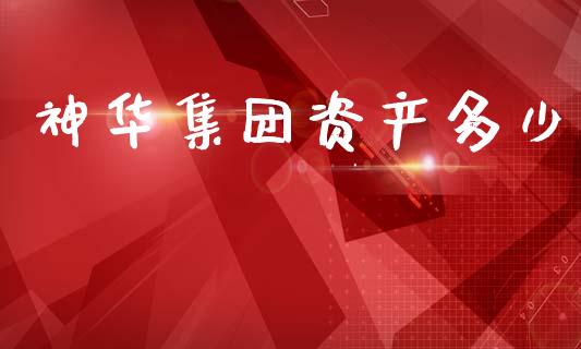 神华集团资产多少_https://wap.sdxiaoxijinshu.com_期货_第1张