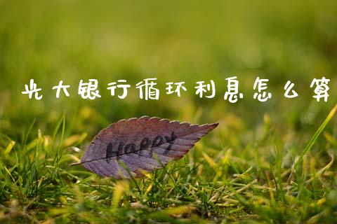 光大银行循环利息怎么算_https://wap.sdxiaoxijinshu.com_金融_第1张
