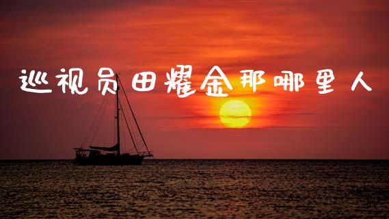 巡视员田耀金那哪里人_https://wap.sdxiaoxijinshu.com_财经_第1张