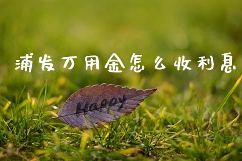 浦发万用金怎么收利息_https://wap.sdxiaoxijinshu.com_理财_第1张