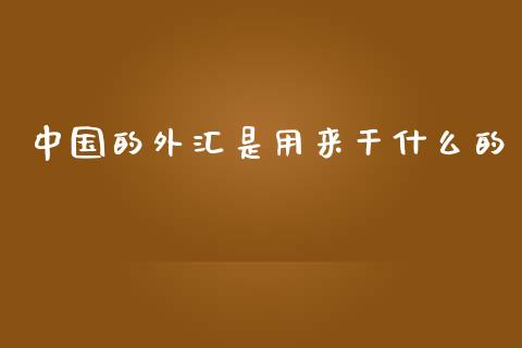 中国的外汇是用来干什么的_https://wap.sdxiaoxijinshu.com_财经_第1张