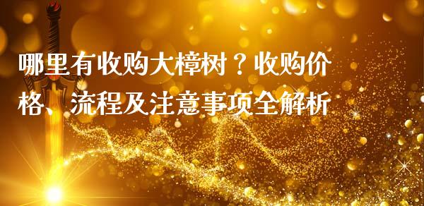 哪里有收购大樟树？收购价格、流程及注意事项全解析_https://wap.sdxiaoxijinshu.com_金融_第1张