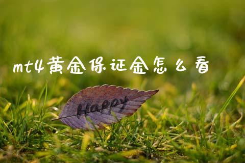 mt4黄金保证金怎么看_https://wap.sdxiaoxijinshu.com_财经_第1张