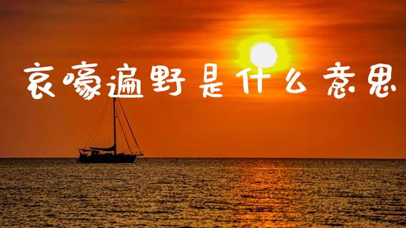哀嚎遍野是什么意思_https://wap.sdxiaoxijinshu.com_财经_第1张