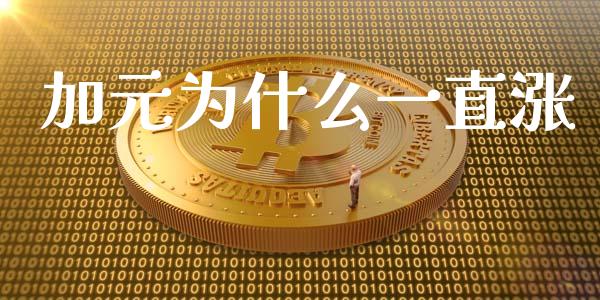 加元为什么一直涨_https://wap.sdxiaoxijinshu.com_财经_第1张