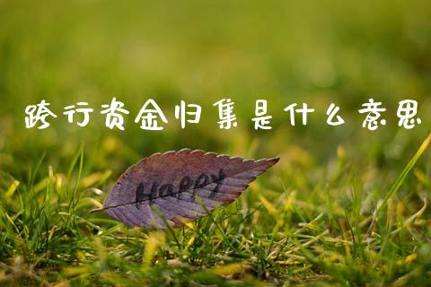 跨行资金归集是什么意思_https://wap.sdxiaoxijinshu.com_金融_第1张