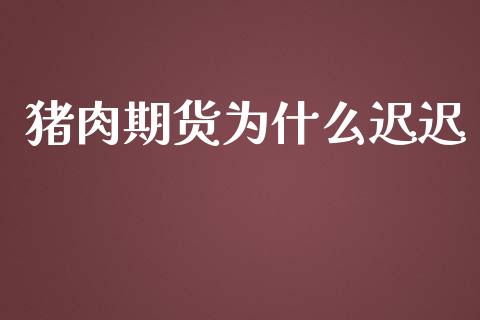 猪肉期货为什么迟迟_https://wap.sdxiaoxijinshu.com_期货_第1张