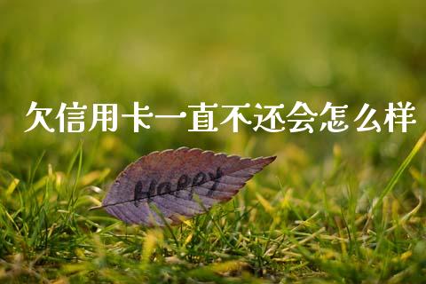 欠信用卡一直不还会怎么样_https://wap.sdxiaoxijinshu.com_财经_第1张