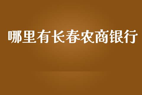 哪里有长春农商银行_https://wap.sdxiaoxijinshu.com_理财_第1张