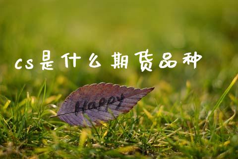 cs是什么期货品种_https://wap.sdxiaoxijinshu.com_期货_第1张
