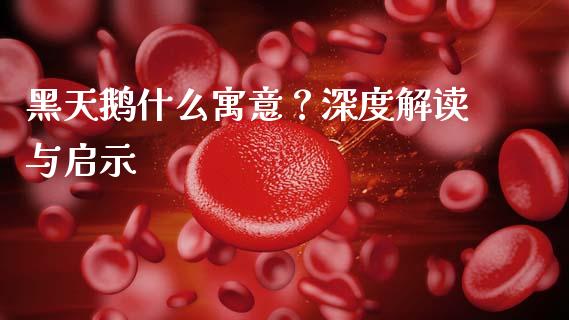 黑天鹅什么寓意？深度解读与启示_https://wap.sdxiaoxijinshu.com_财经_第1张