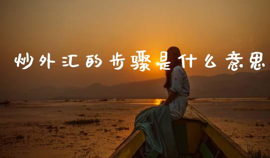 炒外汇的步骤是什么意思_https://wap.sdxiaoxijinshu.com_财经_第1张