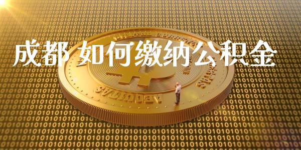 成都 如何缴纳公积金_https://wap.sdxiaoxijinshu.com_理财_第1张