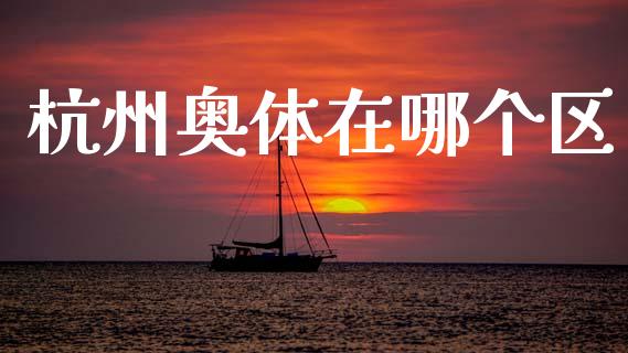 杭州奥体在哪个区_https://wap.sdxiaoxijinshu.com_金融_第1张