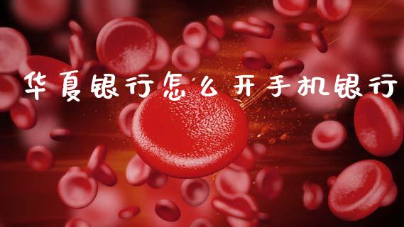 华夏银行怎么开手机银行_https://wap.sdxiaoxijinshu.com_金融_第1张