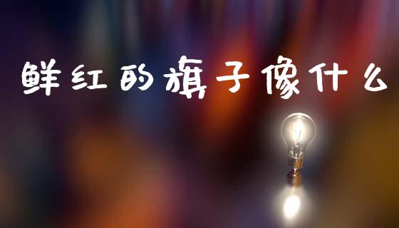 鲜红的旗子像什么_https://wap.sdxiaoxijinshu.com_期货_第1张