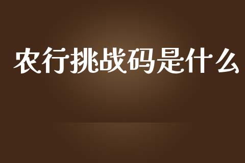 农行挑战码是什么_https://wap.sdxiaoxijinshu.com_金融_第1张