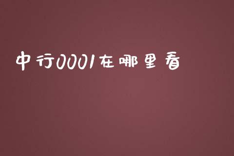 中行0001在哪里看_https://wap.sdxiaoxijinshu.com_理财_第1张